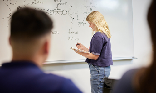 A student studying science at a whiteboard.