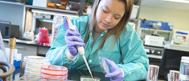 A student working in a laboratory 