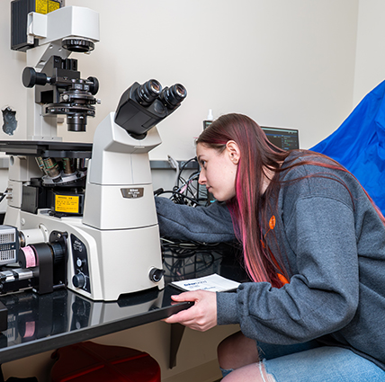 Female Carroll University student examines microscope