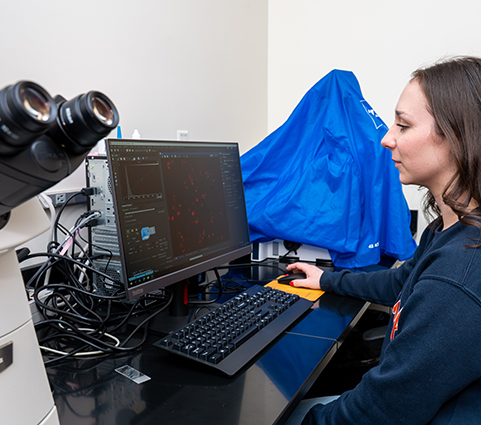 Female Carroll University student looks at cells on monitor