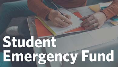 an individual studying