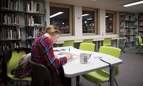 Student studying in the Learning Commons