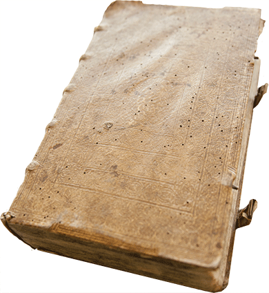 Mystery worm book cover