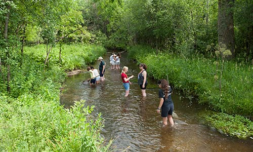 eight people conducting a science investigation in Genesse Creek