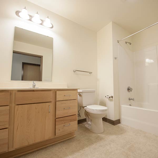 suite style bathroom 
